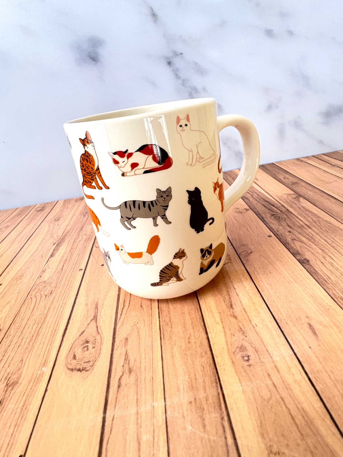 TAZ04 Taza Variada Gatos