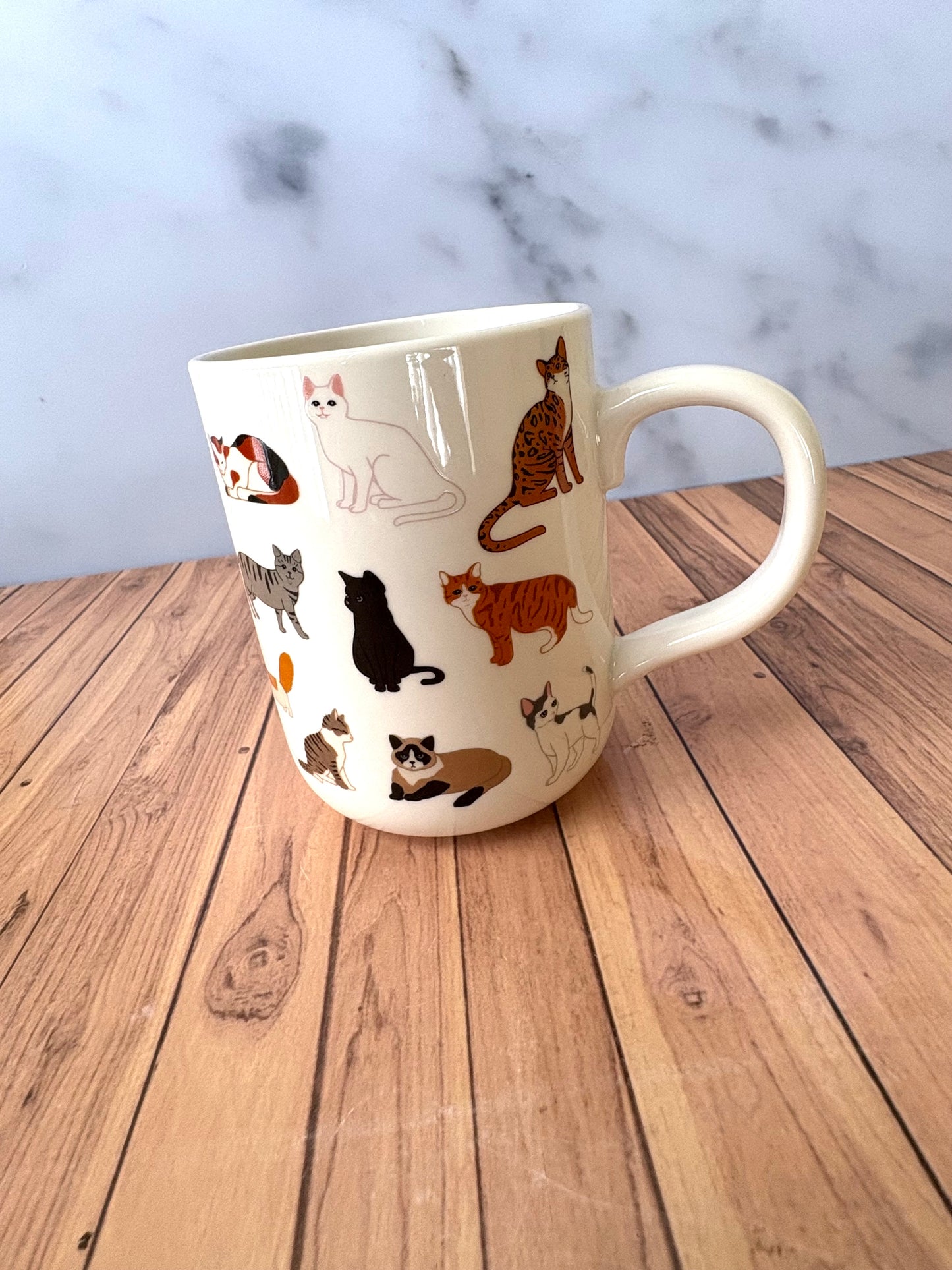 TAZ04 Taza Variada Gatos