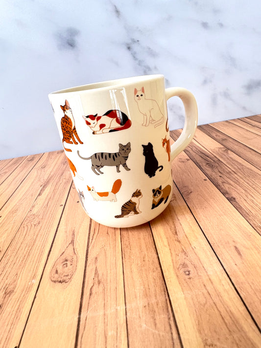 TAZ04 Taza Variada Gatos